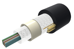 CommScope 760211417 Z-024-CN-RB-F12NS/8W/99F, Fiber Indoor Outdoor LSZH Riser 24 fiber Black
