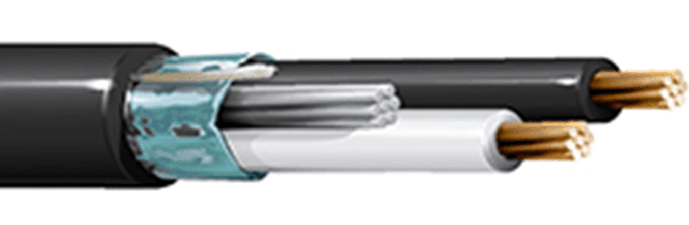 Belden 1065A 010