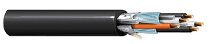 Belden 1081A 010