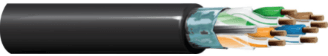 Belden 1300A 010