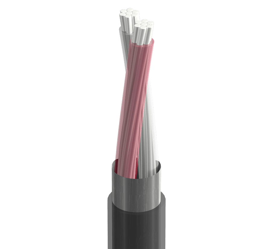 Belden 83950 010, Thermocouple Extension Cable 2C 20 AWG JX Black, Black Jacket